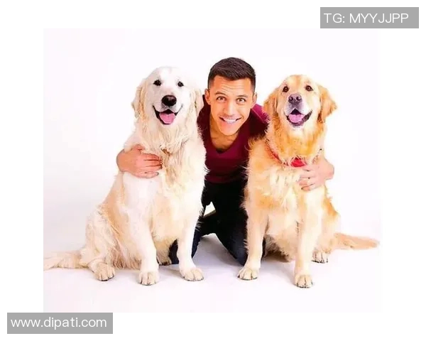 足球明星太太们的看球趣事与背后故事揭秘